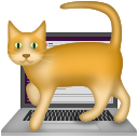 :cat-on-keyboard: